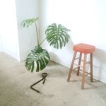 Alex Penfold - @owlpenfold - Instagram