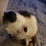 Alex perdue - @flee47474u - Instagram