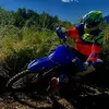 Alex - @alexperilli97 - TikTok