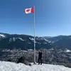 Alex Phillips - @alexphillips83 - TikTok