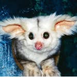 Alex Piechaczek - @alexpiechaczek - Instagram