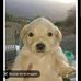 Alex Pine - Facebook