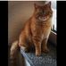 Alex Platzer - Facebook