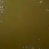 STORY_WITH_SLIME - @alexapott123 - TikTok