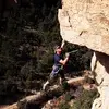 Alex Prescott - @alexprescott77 - TikTok