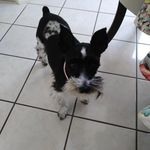 Alex Qualls - @alex.izzo.9887 - Instagram