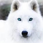 Alex Qualls - @qualls.alex - Instagram