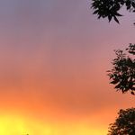 Alex Qualls - @king_alex_qualls - Instagram
