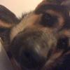 Aqualls_88 - @alex_qualls - TikTok