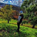 Alex Ramadan - @alex_king_311 - Instagram