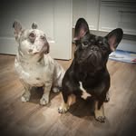 Alexandra Riedinger - @speck_bohne - Instagram