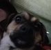 Alexa Riffle - Facebook