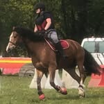 Alex Robitaille - @robilexie68 - Instagram