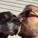 Alex Robitaille - Facebook