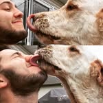 Bigal - @alexrobitaille - Instagram