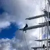 alexrodger_ - @rodgerrodger_ - TikTok