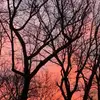 alex runyon - @alex.runyon - TikTok