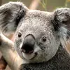alexrunyon257 - @alexrunyon257 - TikTok