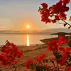 Alex Ryan - @alex.ryan997 - TikTok