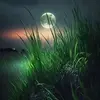Alex Sabet - @alex.sabet - TikTok