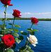 Alex Sacay - Facebook