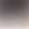 AlexSachs501 - @alexsachs501 - TikTok