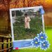 Alex Sadi - Facebook