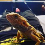 Alex Sadowski - @dr.doinks420_ - Instagram