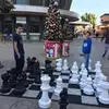 Alex Safar - @alexsafar5 - TikTok