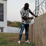 Alex Safari - @alexsafari27 - Instagram