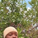Alex Safari - @alekx3446 - Instagram