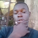 Alex Safari - @alexsafari34 - Instagram