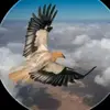 Alex Safari - @alexgrand872 - TikTok