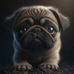 Alex Sage - Facebook