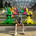 Alex Sahm - @alex.mhas - Instagram