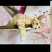 Alexandra Sahm - Facebook