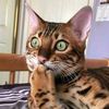 Alexsey Sakhno - @alexsey_sakhno - TikTok