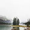 Alex Sakhnovskyy - @alex.sakhnovskyy - TikTok