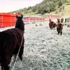 AlexSal - @alexisal3 - TikTok