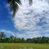 Alex Saladaga - @alex.saladaga - TikTok