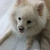 Alex Salameh - @alex.salameh - TikTok