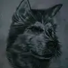 Alex Salamon - @alex.salamon5 - TikTok