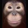 alexsalamon81 - @alexsalamon81 - TikTok