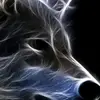 @AlexPro - @alexsaldate1 - TikTok