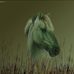 Alex Salemme - Facebook