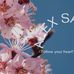 Alex Sale's - Facebook