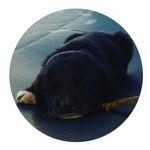 Alex_Salguero.2006 - @alex_salguero.2006 - Instagram
