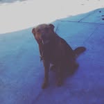 alex salguero - @_alex_salguero_2006 - Instagram