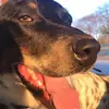alexsalguero - @alexsalguero.0 - TikTok