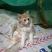 Alex Salik - Facebook